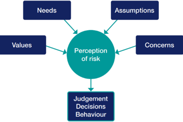 Steamship Mutual - AMSA Maritime Safety Awareness Bulletin – Managing Risk