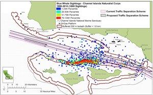 Graphic Produced by NOAA-Blue Whale Sightings.jpg