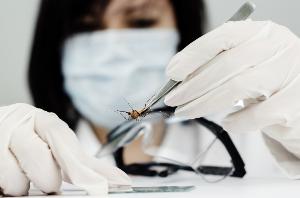 Zika09092016.jpg